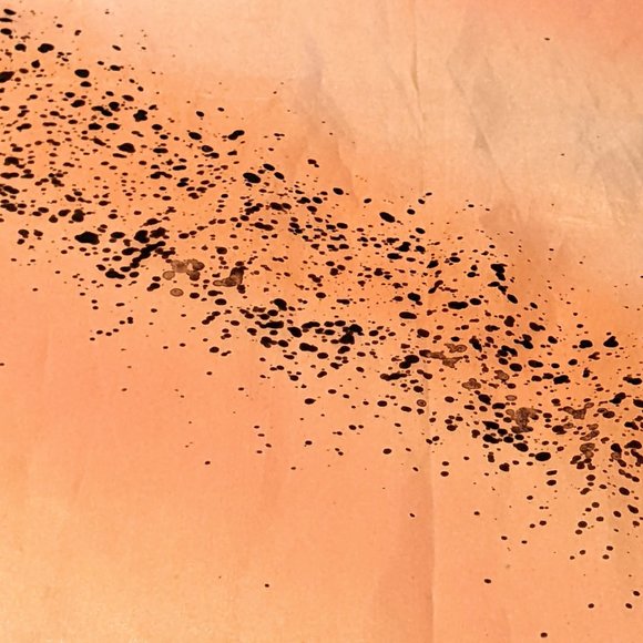 Silk Scarf All weather NWOT - Picture 5 of 6